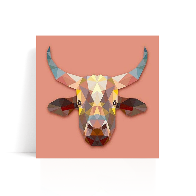 Bull paint by numbers kit from the animal set of four