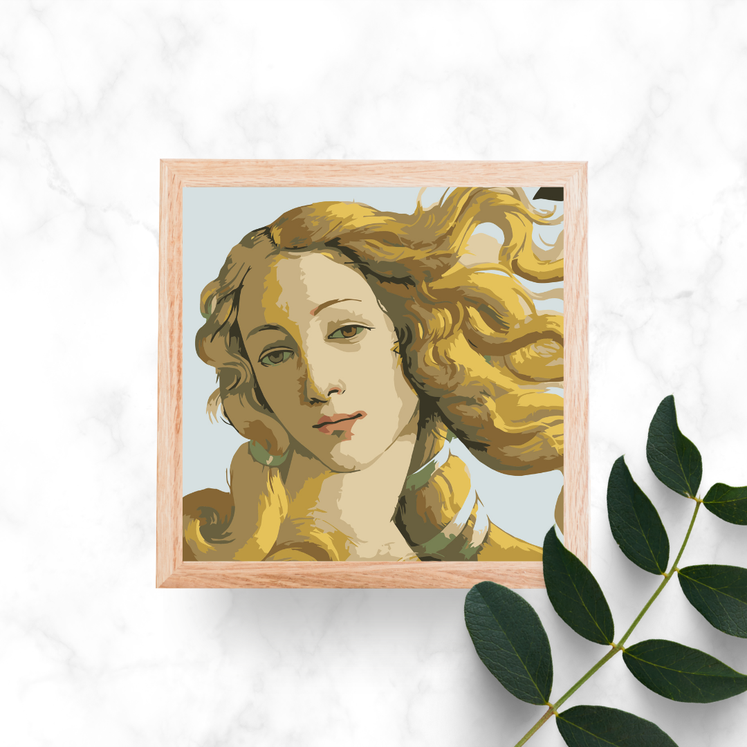 mini paint by numbers golden venus framed set