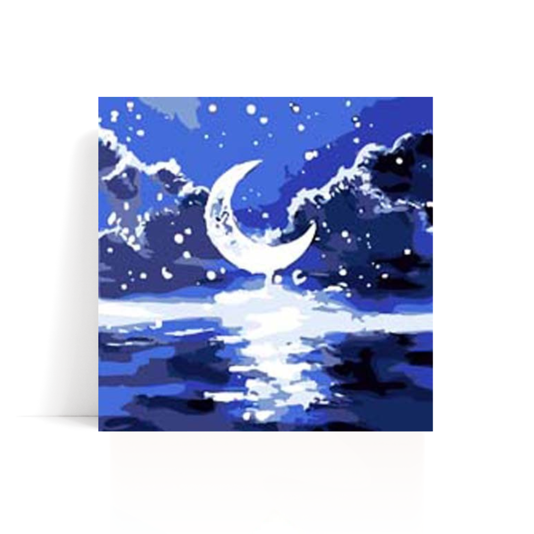 Midnight Moon paint by numbers kit framed canvas